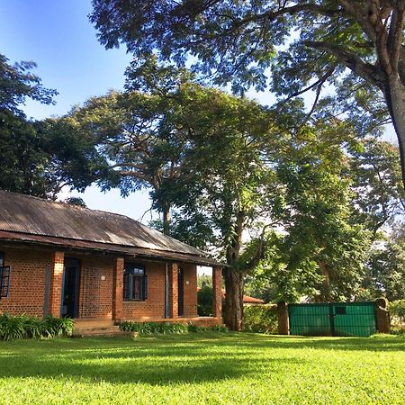 Africawildtruck Eco Camp & Lodge Mulanje المظهر الخارجي الصورة